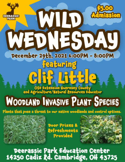 Wild Wednesday Flyer December FINAL Wild Wednesday Flyer December FINAL