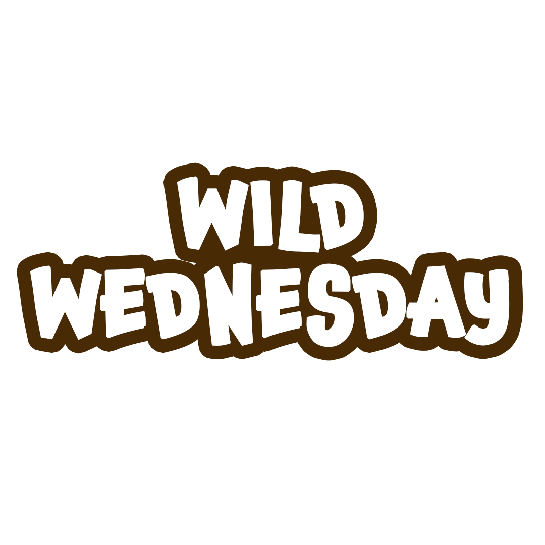 Wild Wednesday Deerassic Park Education Center